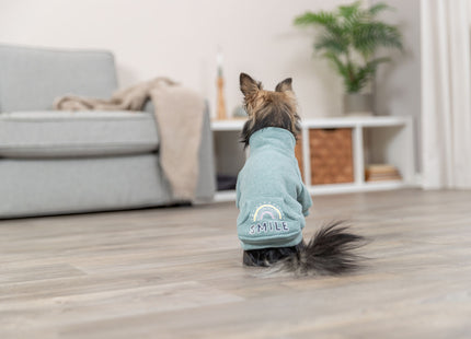 Trixie Sweatshirt Littleton - Hundepullover mint XXS