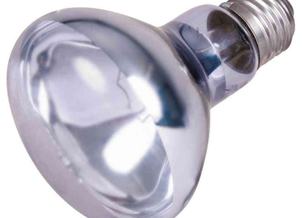 Trixie Neodym.Wärm.Spot-Lampe