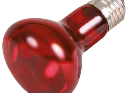 Trixie Infrarot Wärme-Spotlampe – 50 W Terrarienlampe