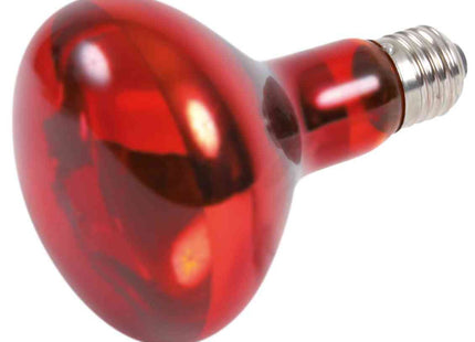 Trixie Infrarot Wärme-Spotlampe – 50 W Terrarienlampe