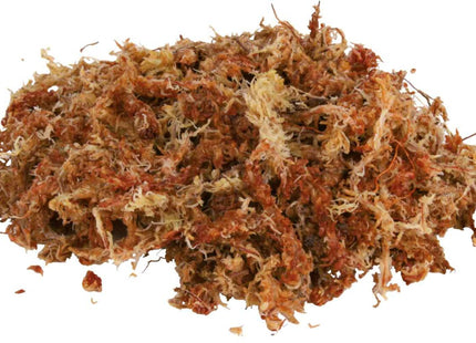 Trixie Terrarienmoos, tropisches Terrariensubstrat, ergibt 4, 5 l