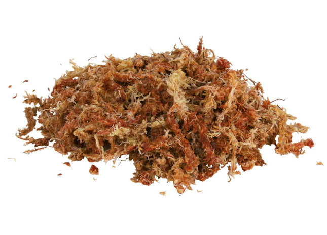 Trixie Terrarienmoos, tropisches Terrariensubstrat, ergibt 4, 5 l
