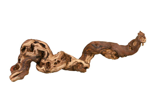 Trixie Weinrebe - Wassergestrahlte Terrariendekoration 5 Stück