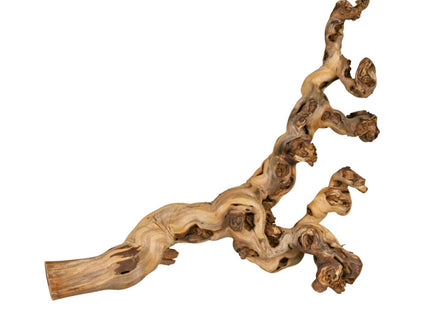 Trixie Weinrebe XL - Wassergestrahlt, 6 Stück