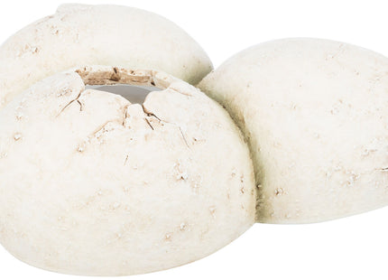 Trixie Reptilienhöhle Eier - Polyesterharz, 15×6×12cm