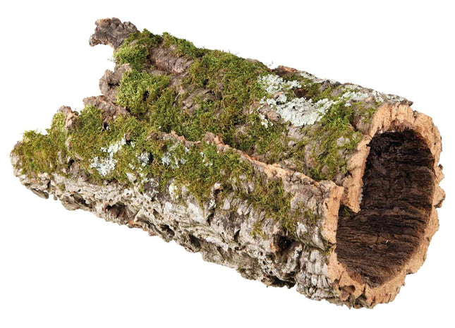 Trixie Korkröhre XL - Naturkork für Reptilien