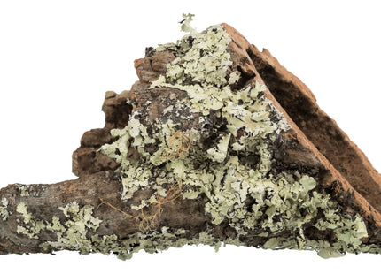 Trixie Korkröhre XS-S - natürliche Korkröhre klein