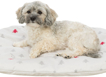 Trixie Xmas Kissen Nivia – oval, cremefarben