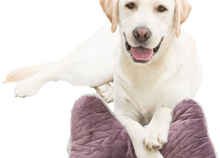 Trixie Kopfkissen Estelle - beere/grau, 34x20cm