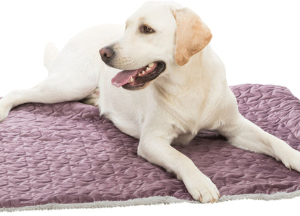 Trixie Decke Estelle – Hundedecke beere/grau 100×70cm