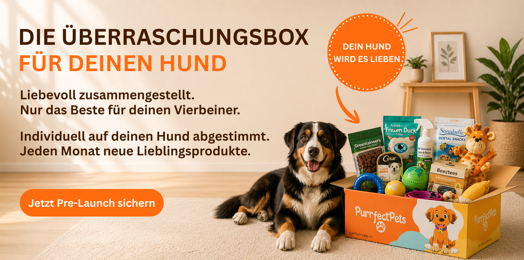Hunde Überraschungsbox
