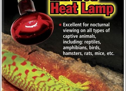 ZooMed Repti Infrarot Wärmestrahler – 50W rot