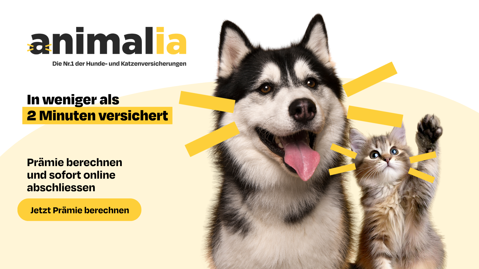 Animalia Tierversicherung Schweiz für Hunde und Katzen – Schutz bei Unfall und Krankheit