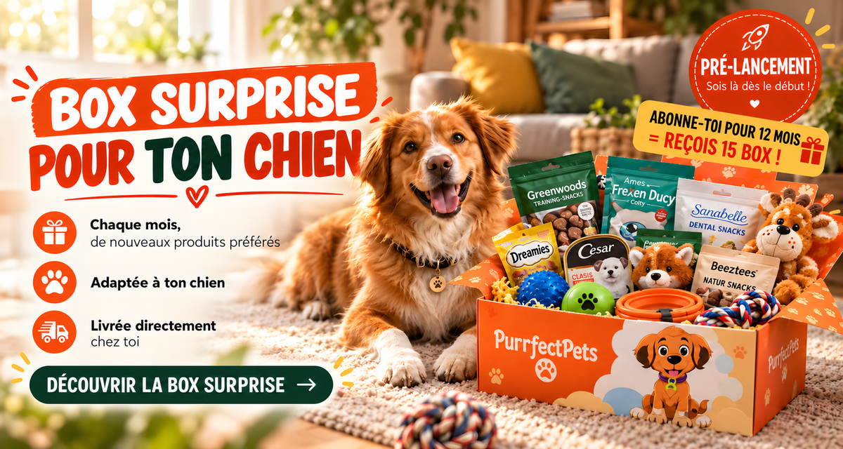 Box surprise Purrfect Pets – friandises, jouets et aliments pour chiens