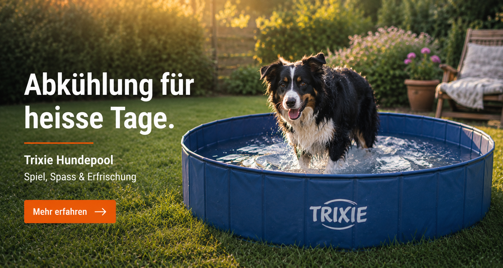 Trixie Hundepool für Hunde – Abkühlung, Spiel und Erfrischung an heissen Sommertagen