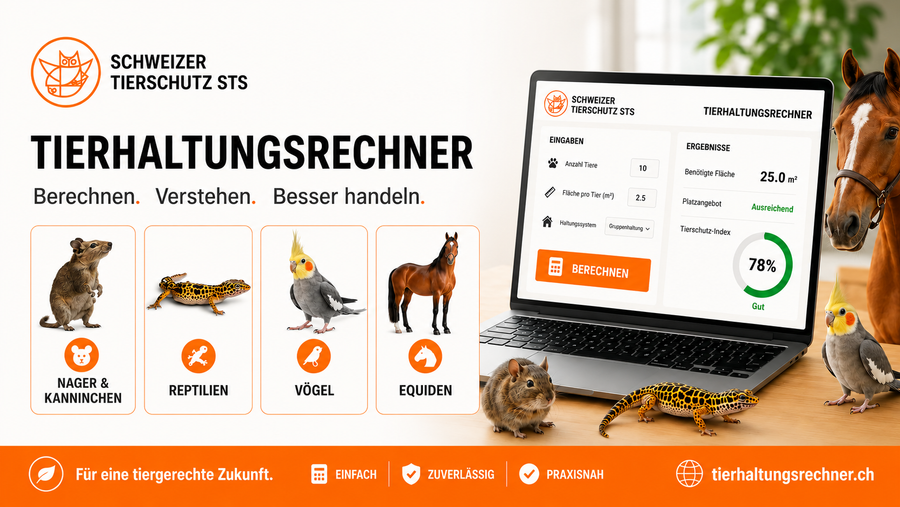 Tierhaltungsrechner Schweiz für Nager, Kaninchen, Reptilien, Vögel und Equiden nach STS Richtlinien