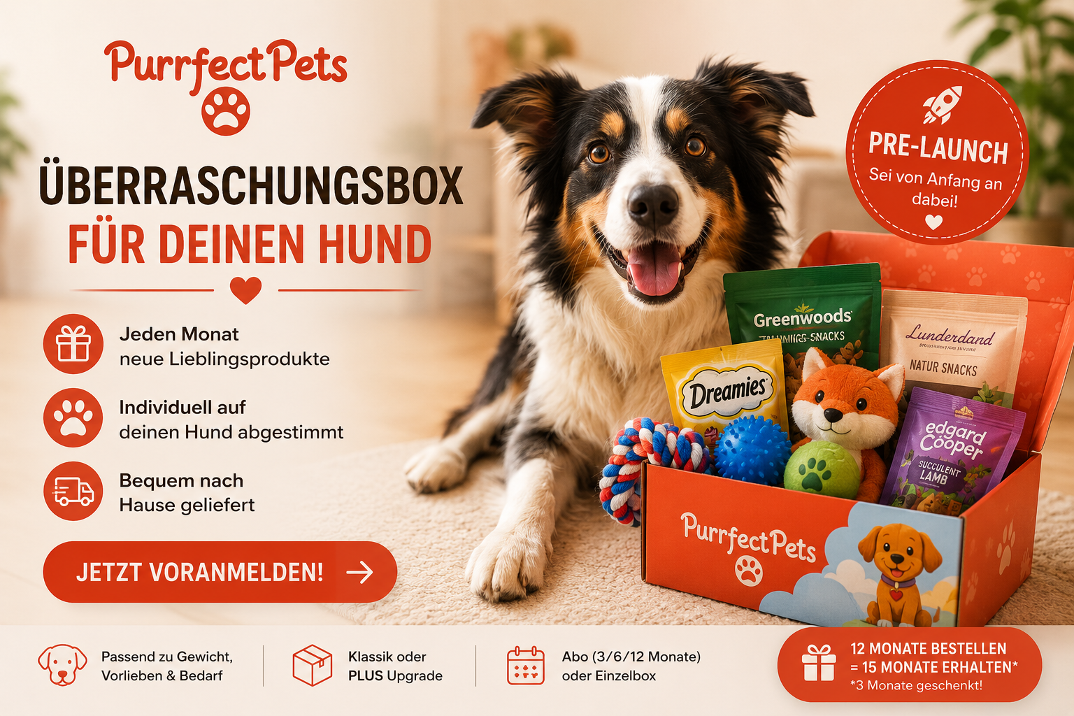 Purrfect Pets Überraschungsbox für Hunde in der Schweiz – monatliche Hundebox mit Hundesnacks, Spielzeug, Pflegeprodukten und Überraschungen für jede Fellnase