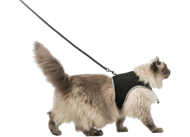 Trixie Softgeschirr mit Leine, Katze, XL, schwarz